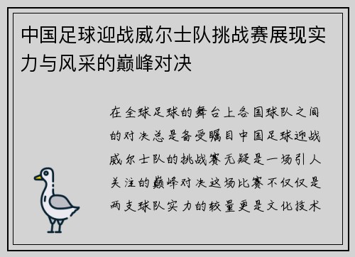 中国足球迎战威尔士队挑战赛展现实力与风采的巅峰对决