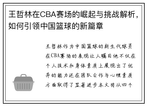 王哲林在CBA赛场的崛起与挑战解析，如何引领中国篮球的新篇章