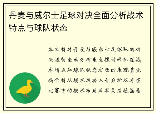 丹麦与威尔士足球对决全面分析战术特点与球队状态